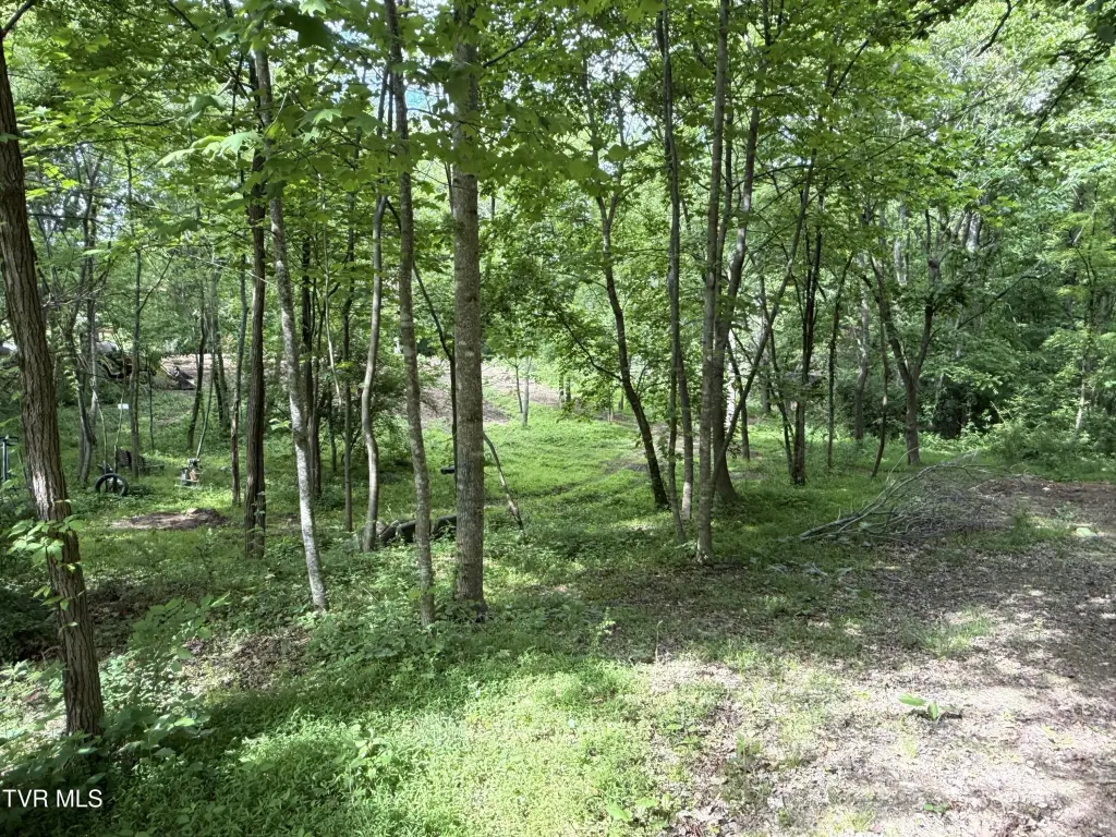 Picture 8
