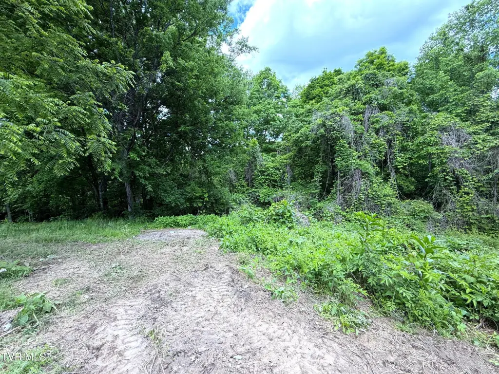 Picture 15