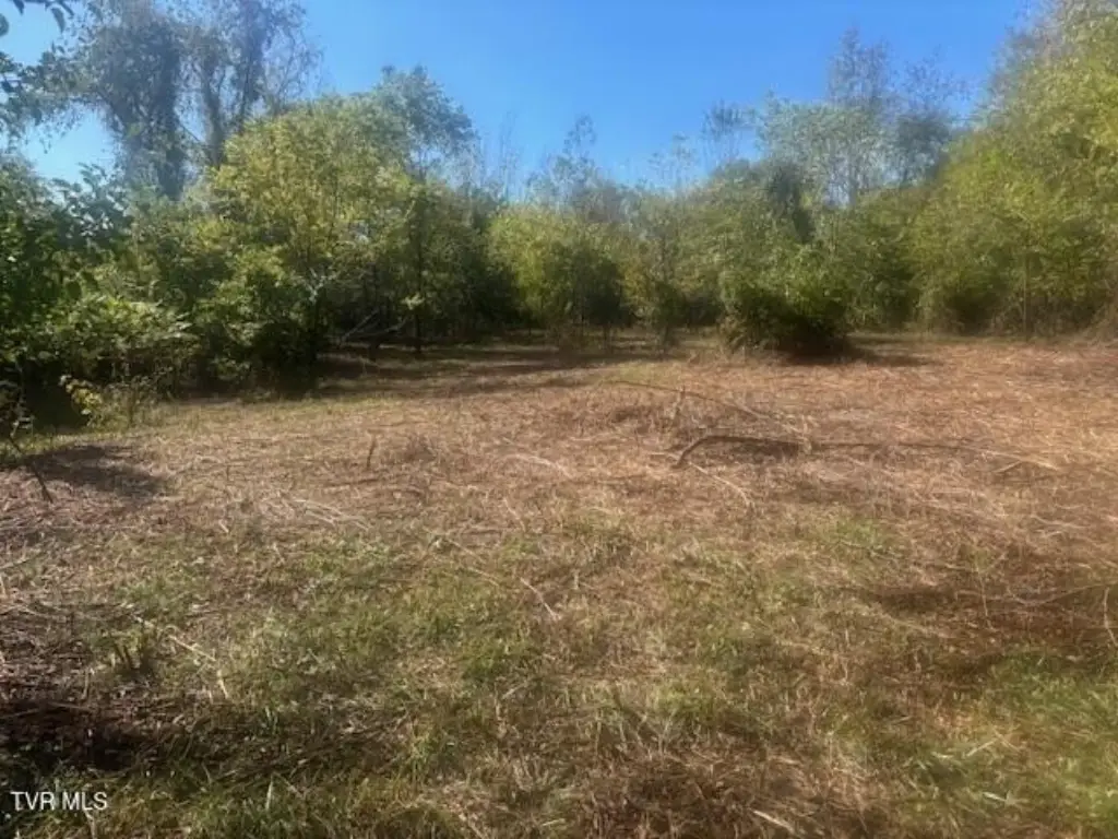 Picture 23