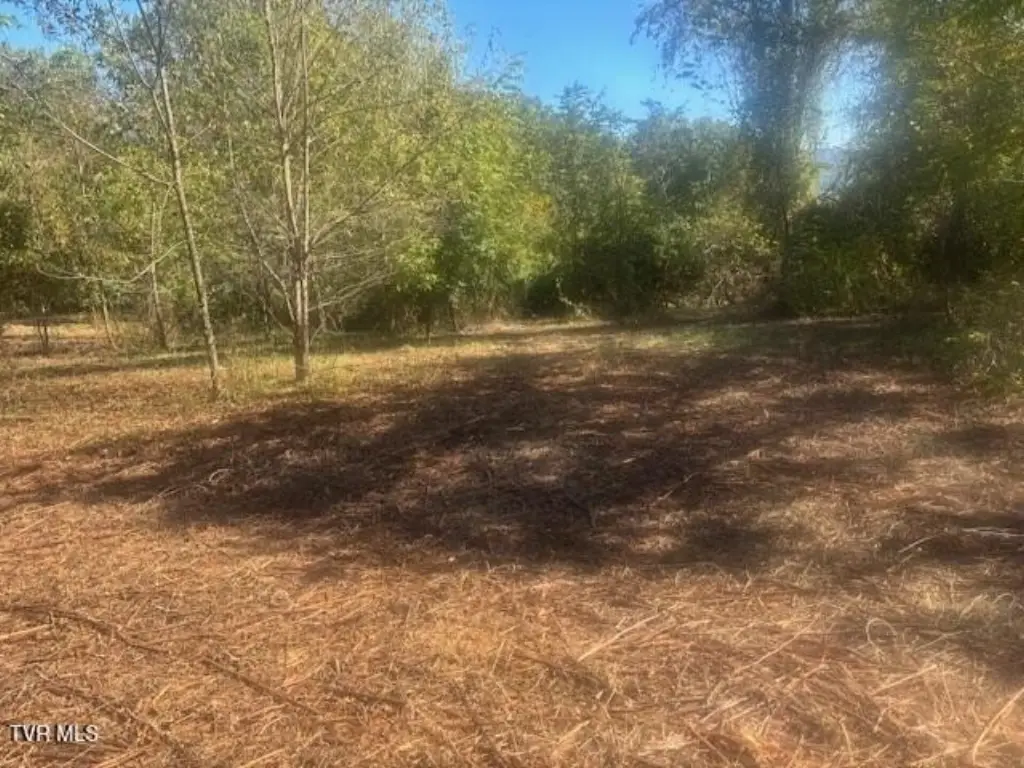 Picture 26