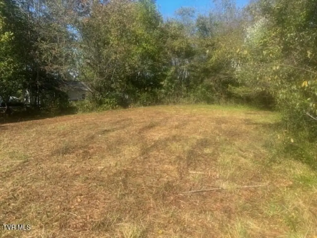 Picture 28