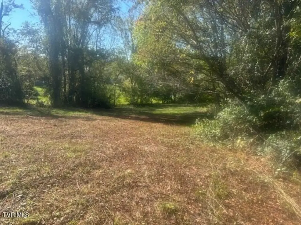 Picture 29
