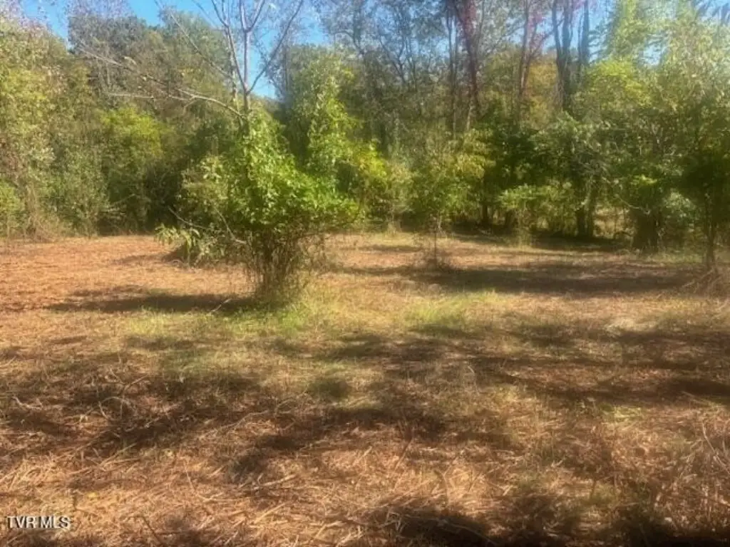 Picture 25