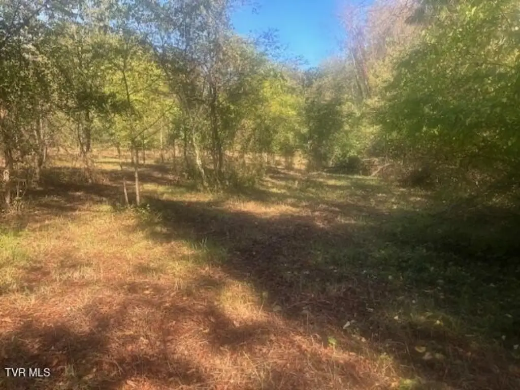 Picture 27