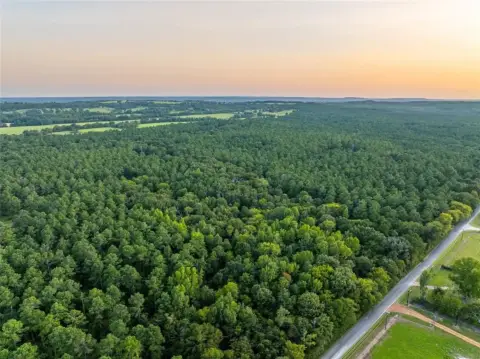 94.5 Acres Wooded Homesite Tract