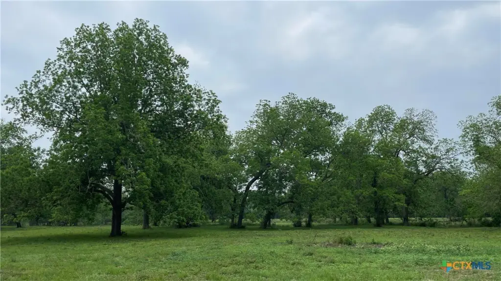 Picture 31