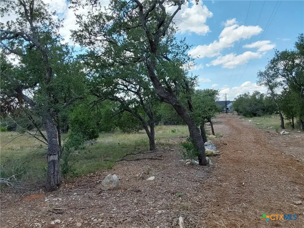 Picture 18