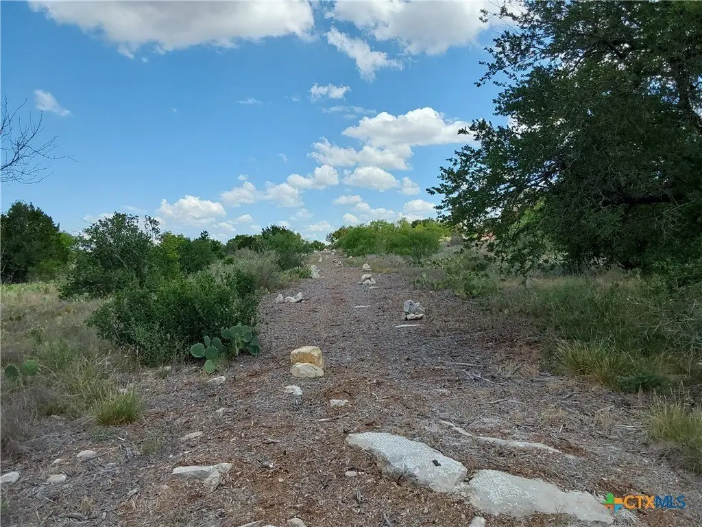 Picture 19
