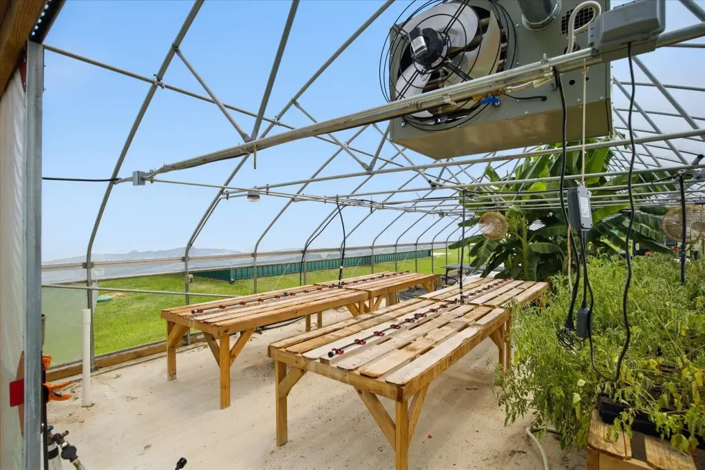 Picture 7