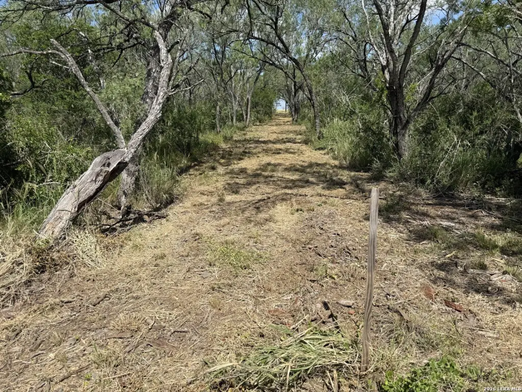 Picture 29