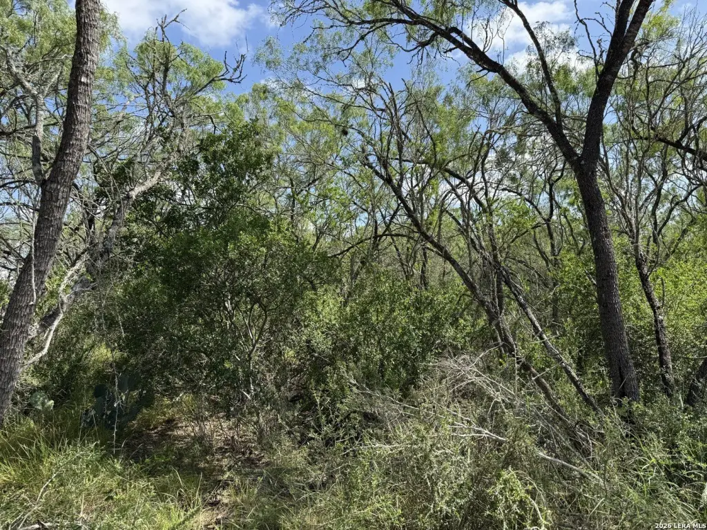 Picture 17