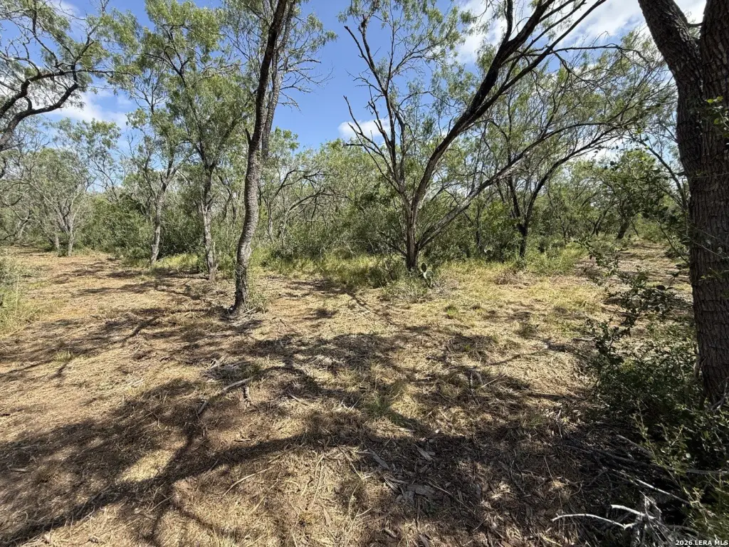 Picture 23