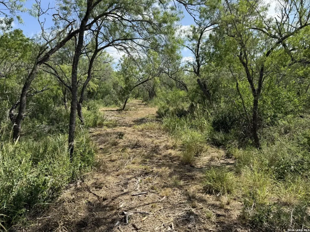 Picture 27