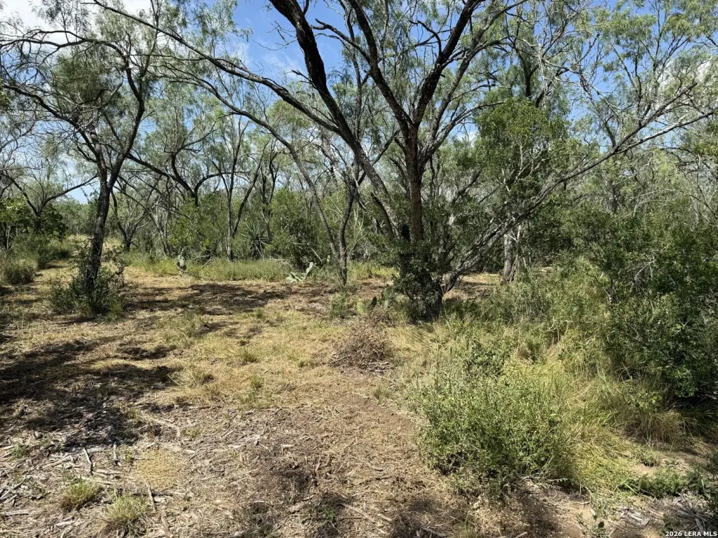 Picture 26