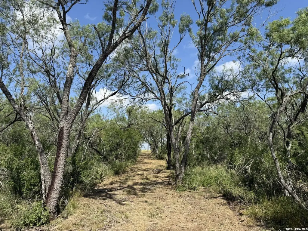Picture 31