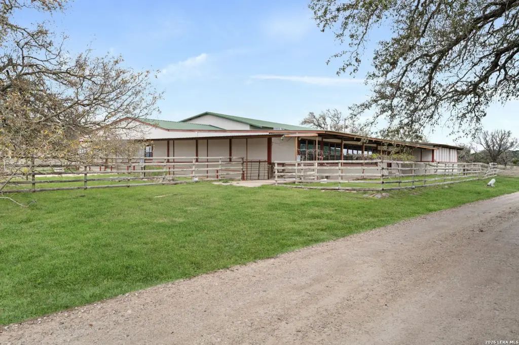 Picture 7