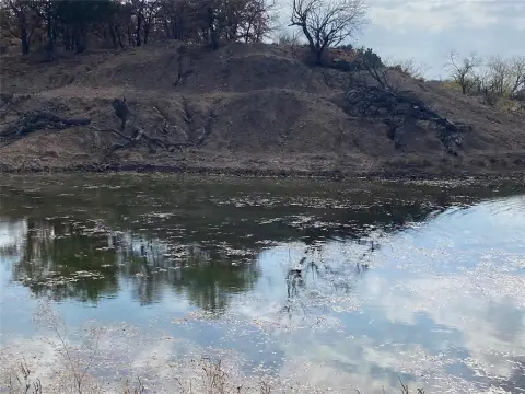 140 Acres of Grazing Pasture