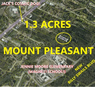 Mount Pleasant Land Opportunity