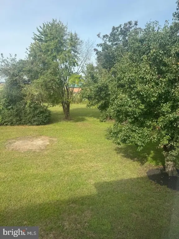 Picture 13