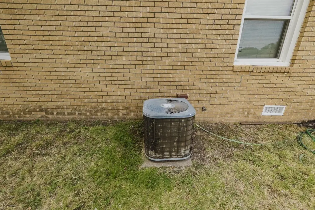 Picture 33