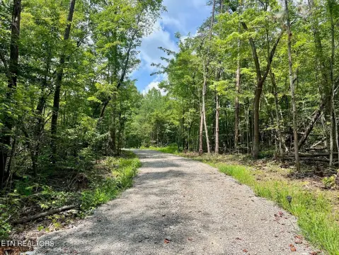 23-Acre Tract in Crossville, TN