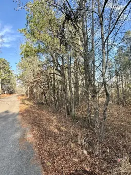 Wooded Land Parcel in Johnston