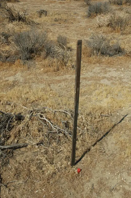 Picture 8