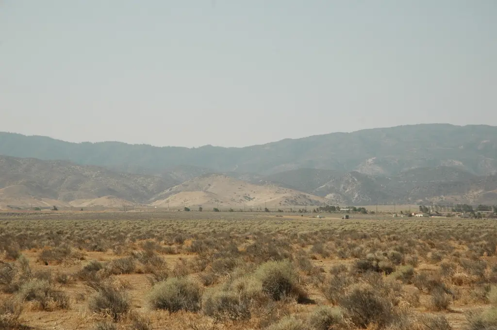 Picture 11