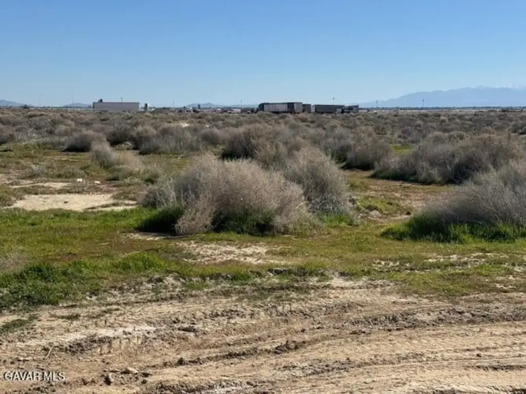 Picture 6