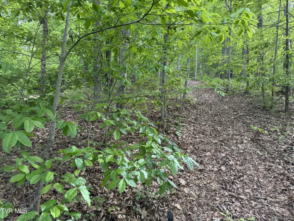 Picture 25