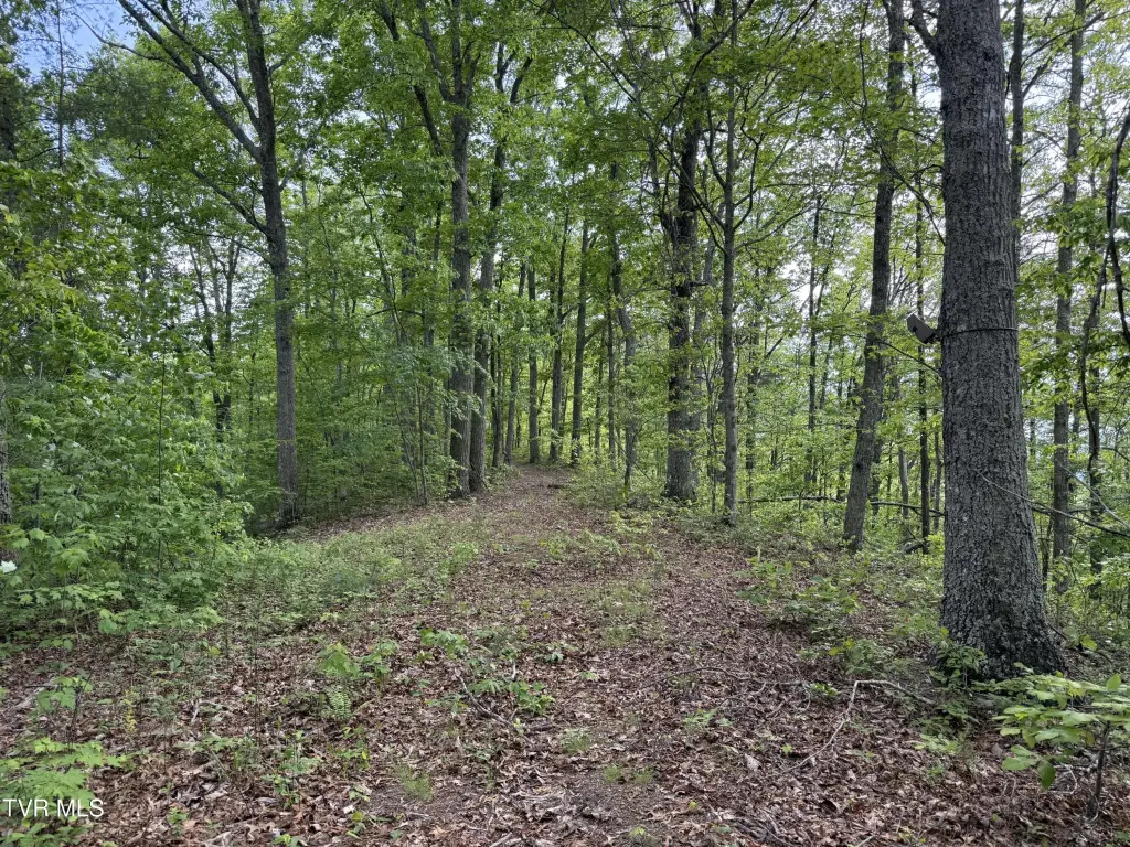 Picture 45