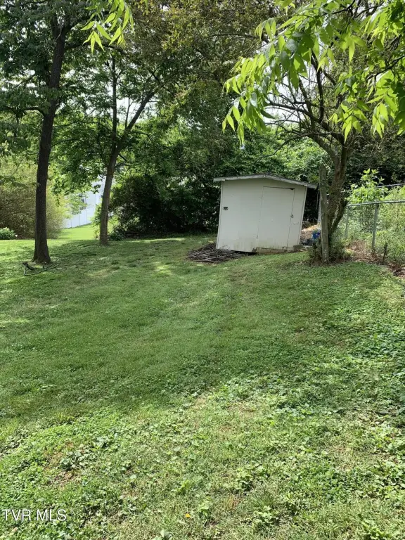 Picture 5
