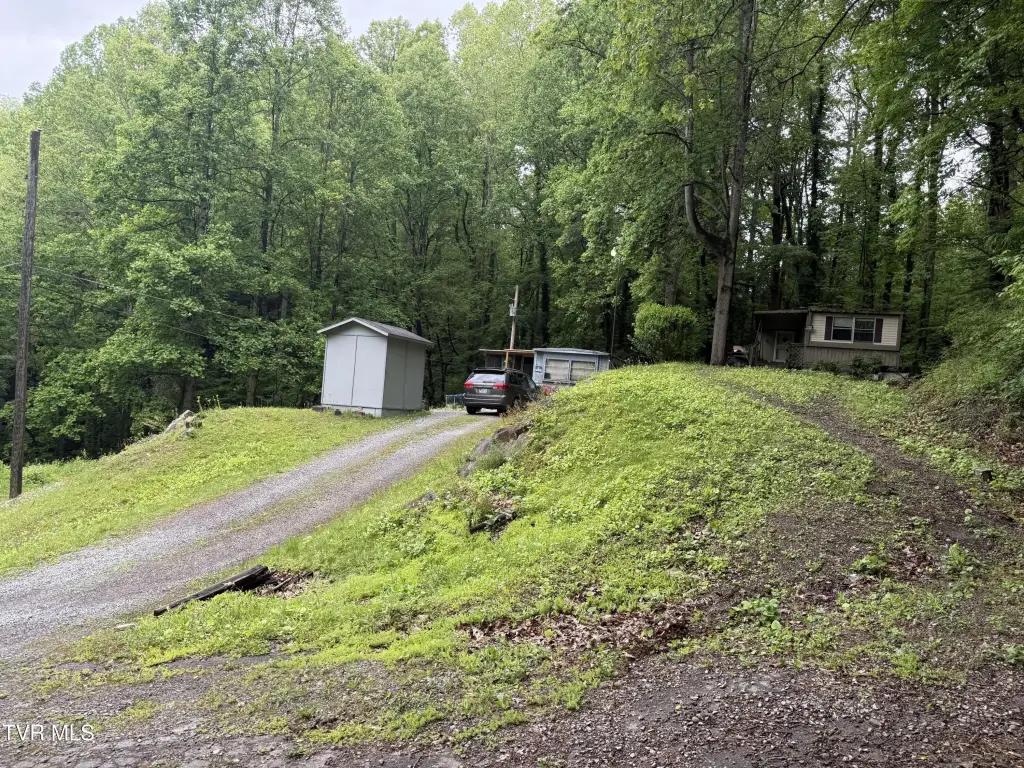 Picture 6