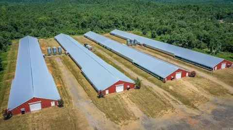 Operational Broiler Farm Near Mena