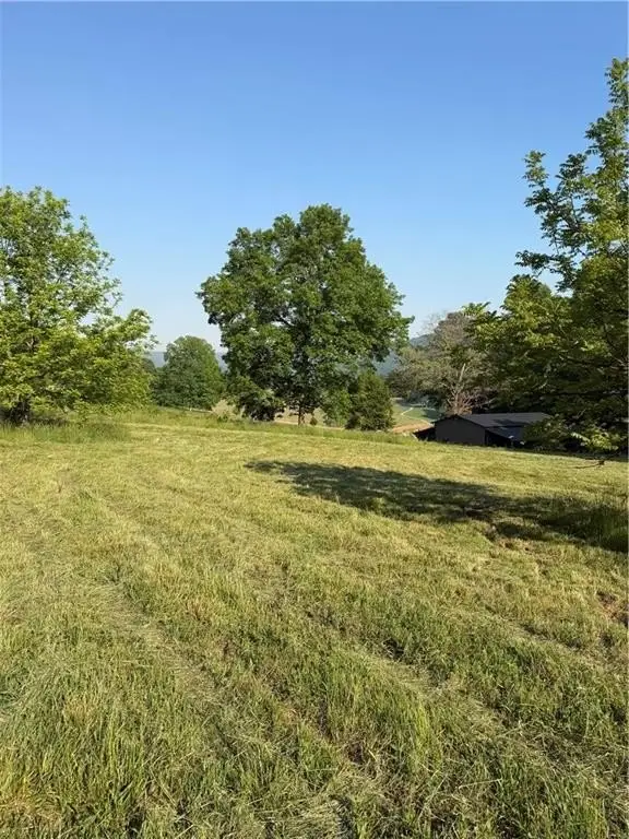 Picture 12