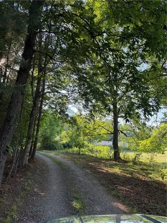 Picture 27