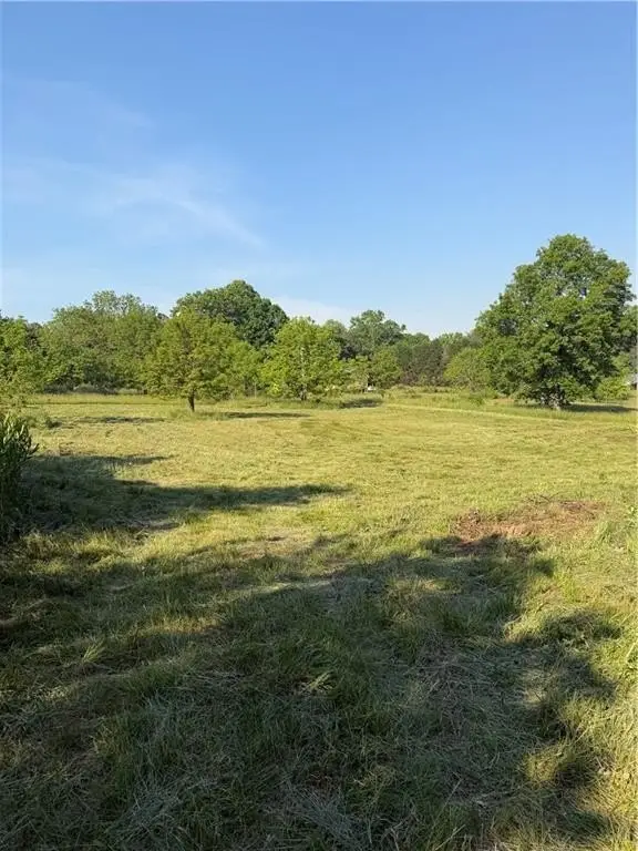 Picture 17