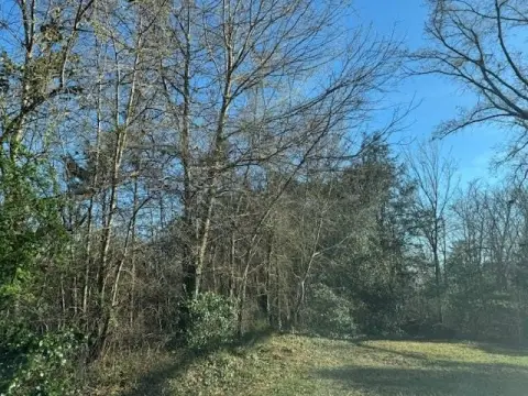 South Boston Land Investment Opportunity