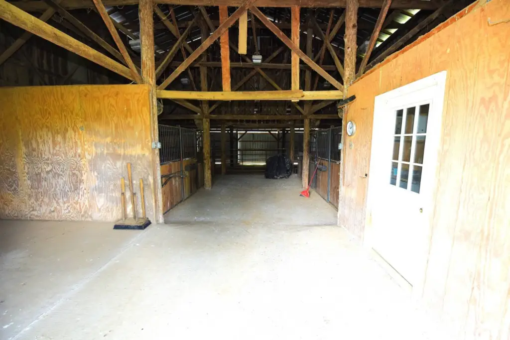 Picture 30