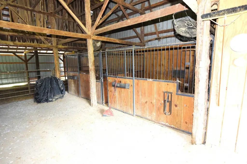 Picture 35