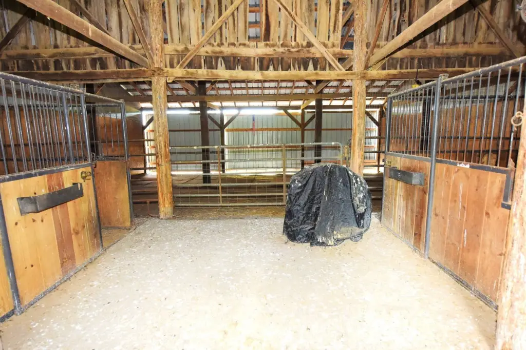 Picture 36