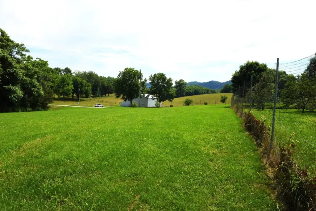 Picture 14