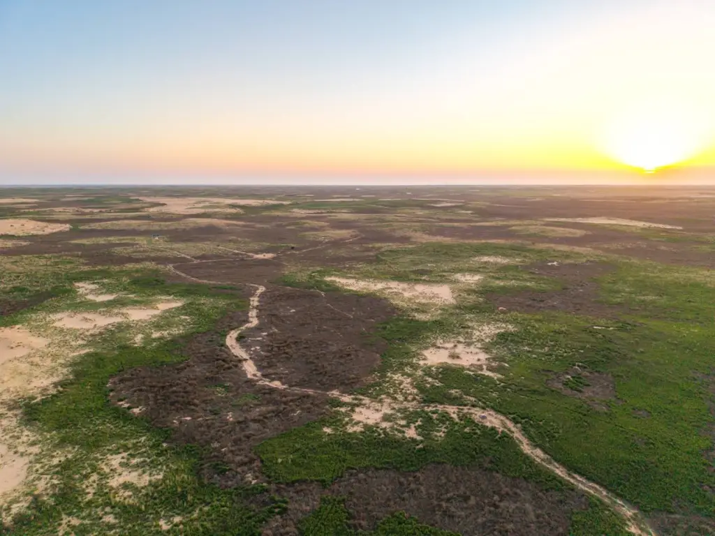 Picture 11