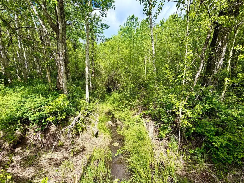 Picture 5
