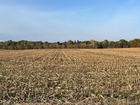 17 Acres Barndominium Building Site