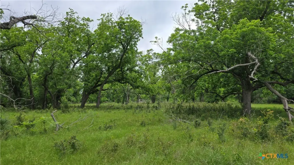 Picture 25
