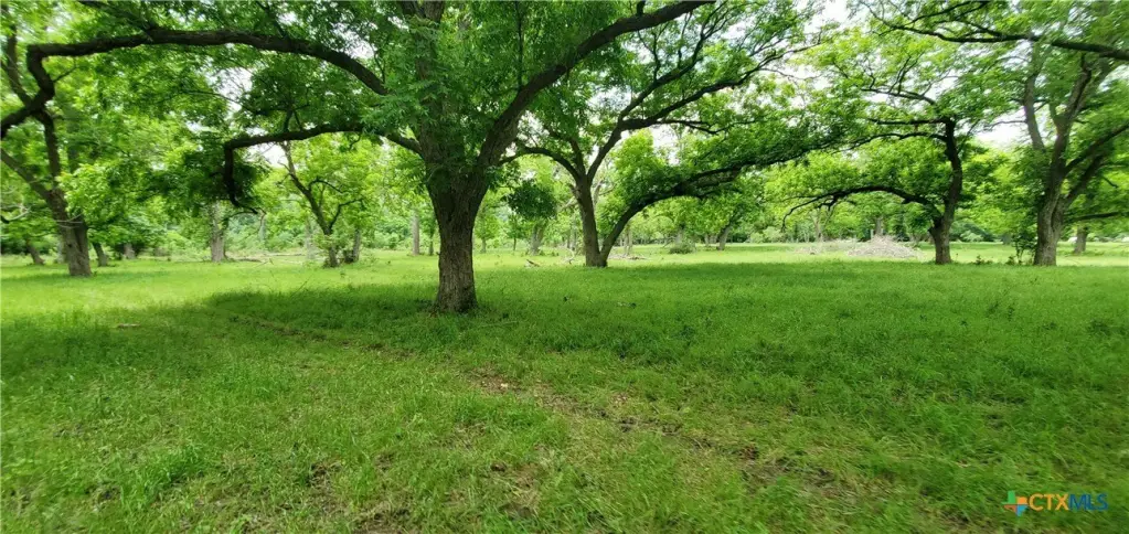 Picture 34