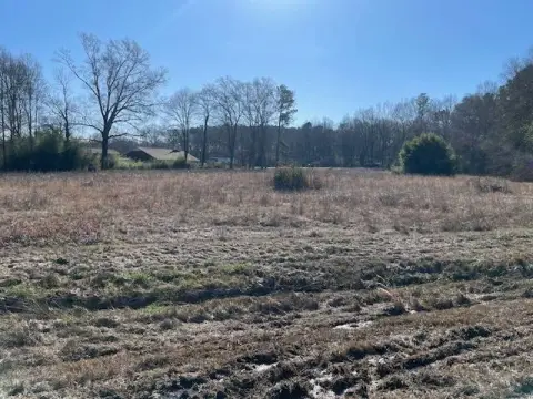 Vacant Land in Philadelphia, MS