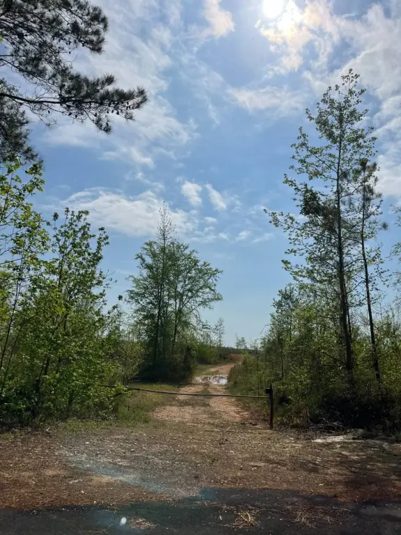 Picture 19