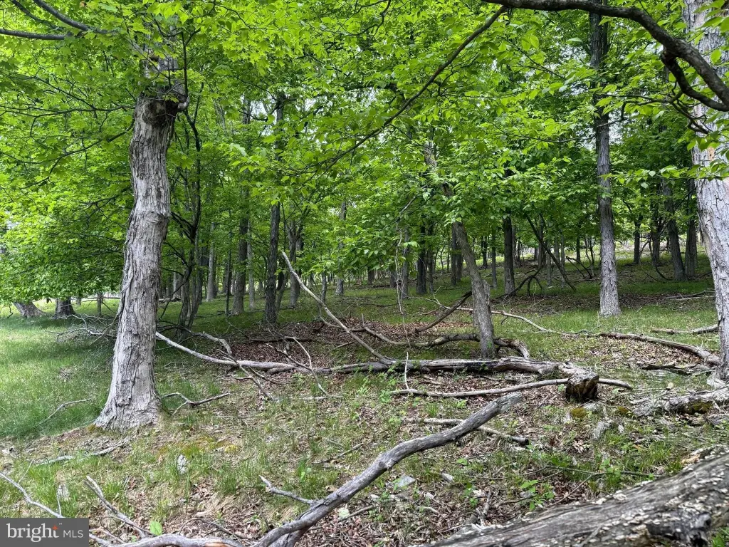 Picture 5
